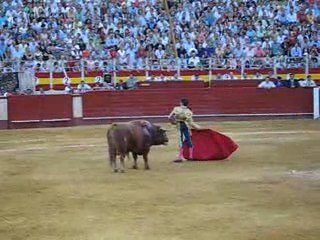 castella   corrida 2007