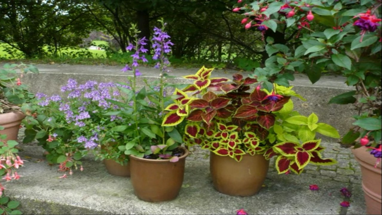 Marzahner Vorgärten (Teil 3)