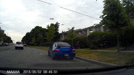 Dog gets hit by car, miraculously shakes it off