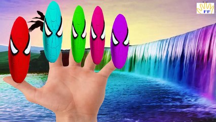 Fat Spiderman Finger Family | SuperHeroes Surprise Eggs Finger Family Nursery Rhymes Colle