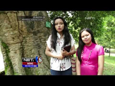Destinasi Kebun Raya Bogor - NET5