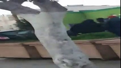 فيديو مسرب لوليد النهدي والممثلة رانية القابسي