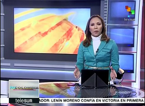 Organismos civiles colombianos destacan arribo de FARC a las ZVTN