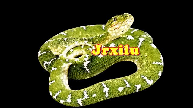 Top Ataques de animais selvagens, Batalha de animais selvagens, Batalha animal, curiosidade animal, Animais selvagens,