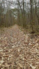 20170221_110339