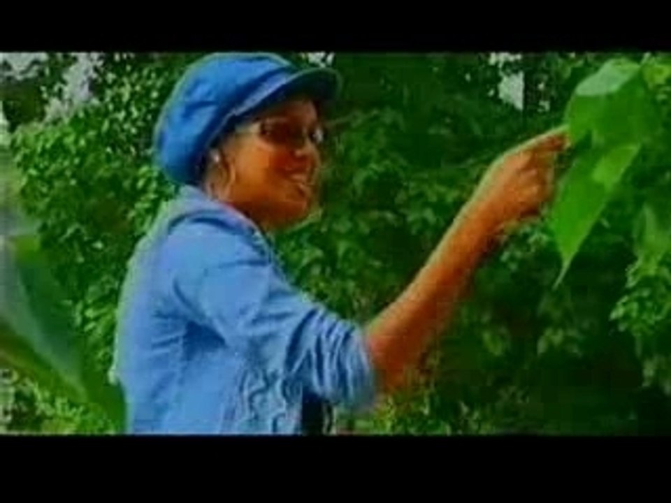 POWER LOVE Enyd CABARRUS - Je jure de t'aimer Fleur bleue.