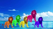 Lions Finger Family Song | Simba, Alex | Real and Cartoon LIONS | Nursery Rhymes for kids