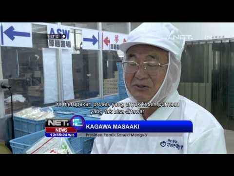 Energi Alternatif Listrik dari Udon -NET12