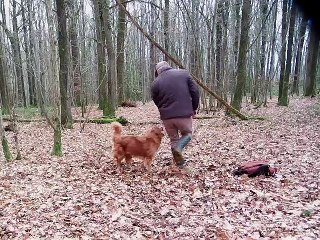 5 rapports en memoire dans le bois