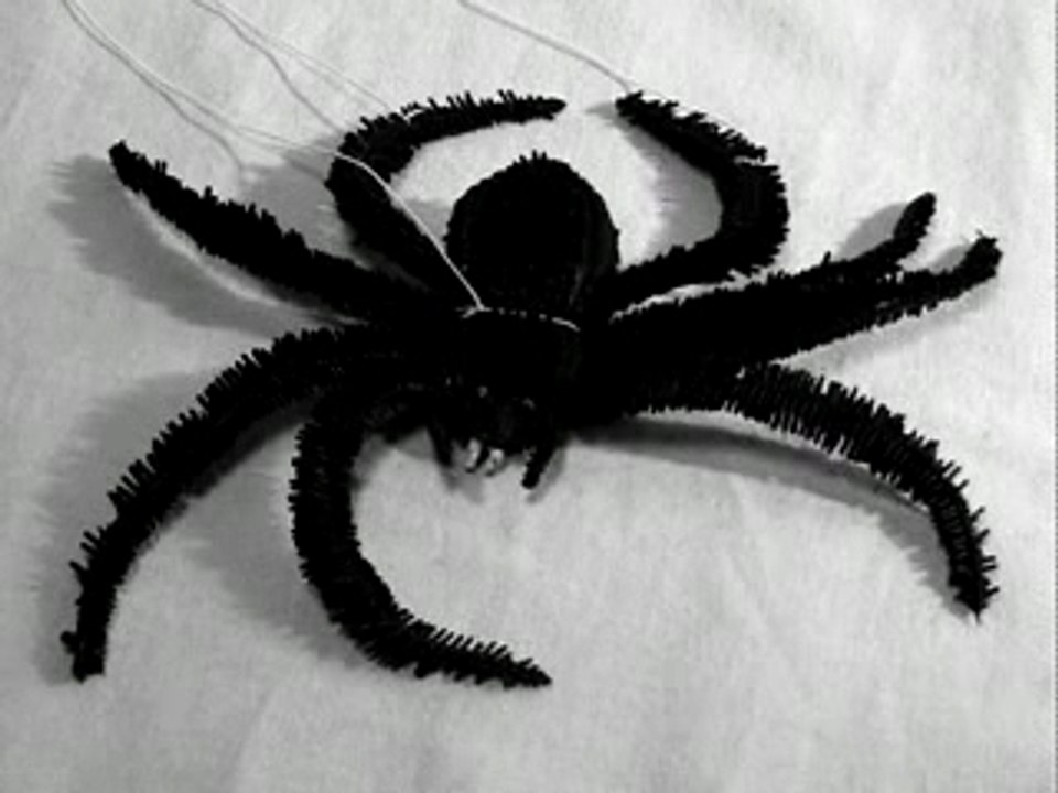 101 Ways To Kill A Spider