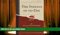 Best Ebook  The Indians of to-Day (Classic Reprint)  For Trial