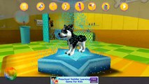 Dog Beauty Salon - GameiMax Android gameplay Movie apps free kids best top TV film
