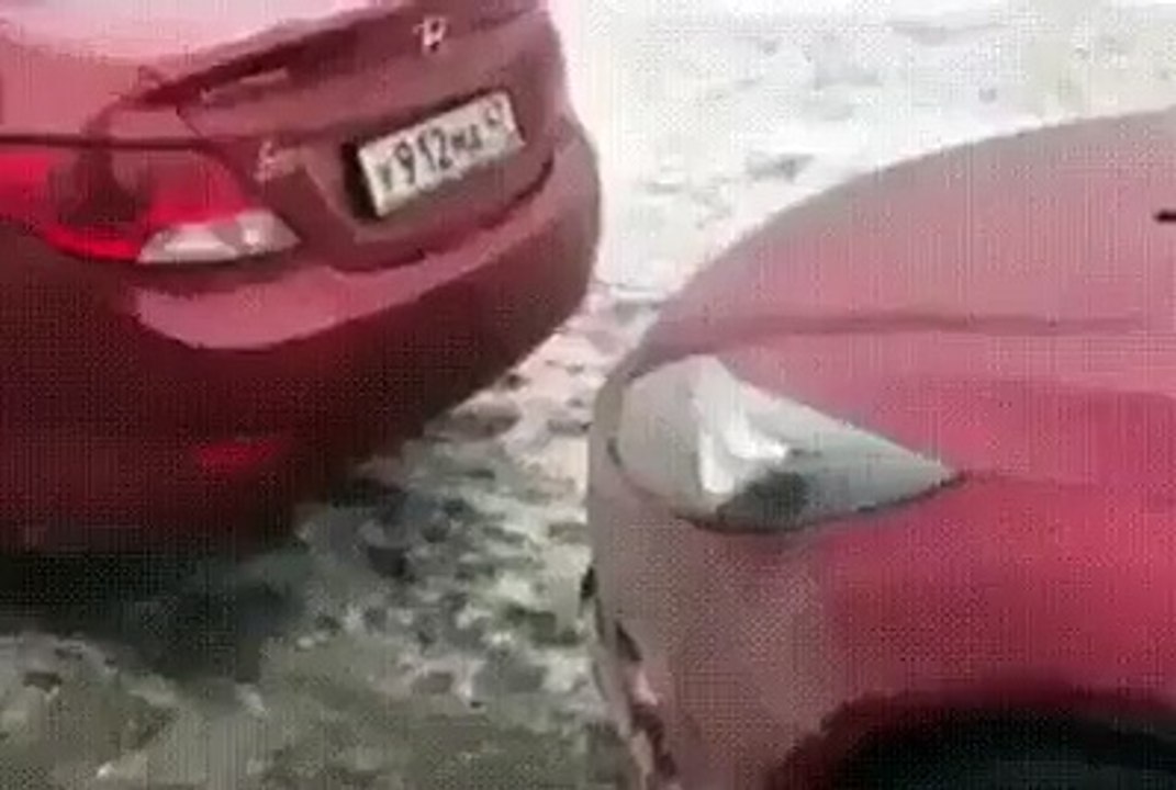 девочки