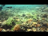 Agenda Sampah di Kepulauan Seribu - NET5