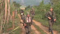 FARC entregará armas y lista de menores reclutados en los próximos 8 días