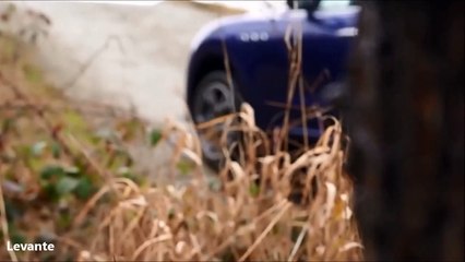 2017 Maserati Levante Vs 2016 Porsche Cayenne