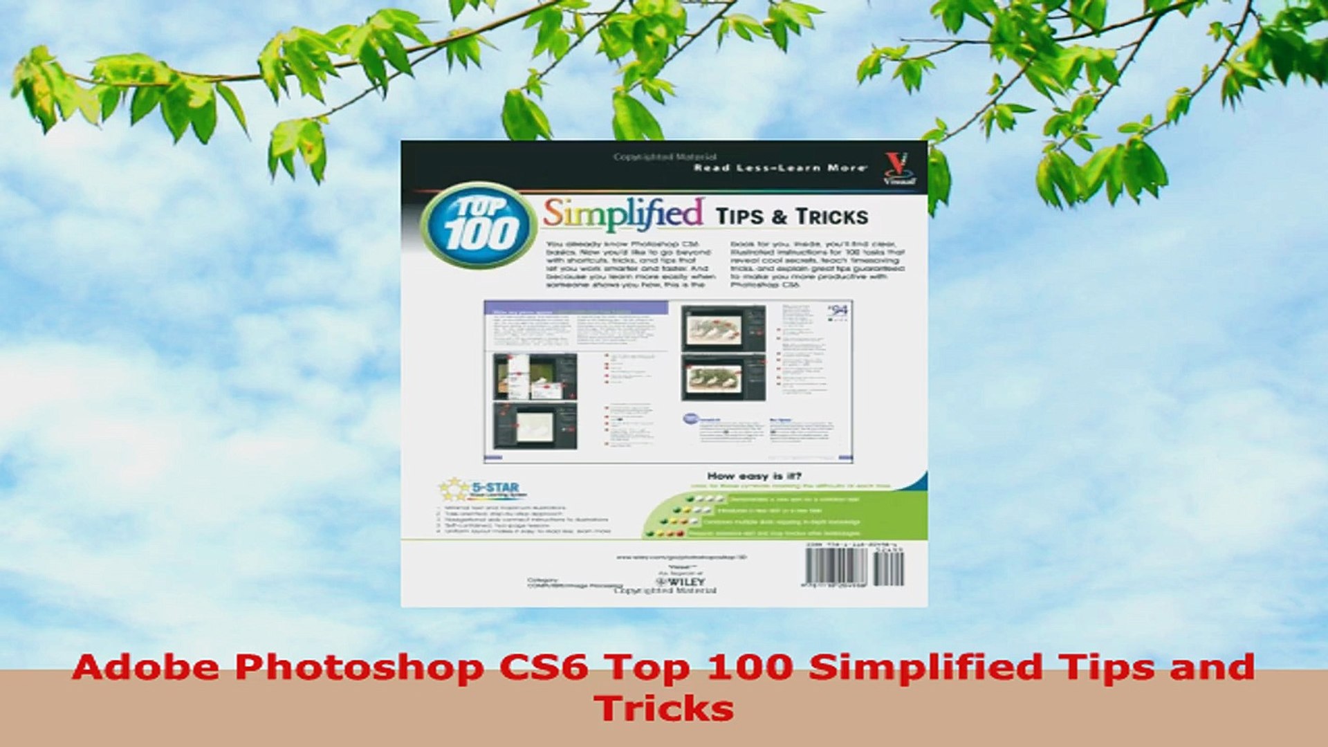 Buy Photoshop CS6 Top 100 Simplified Tips and Tricks