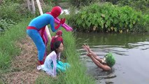 ENTERRADO VIVO Spiderman vs Congelado Elsa Rosa Bebé Spidergirl Bromista de la Familia de la Divers