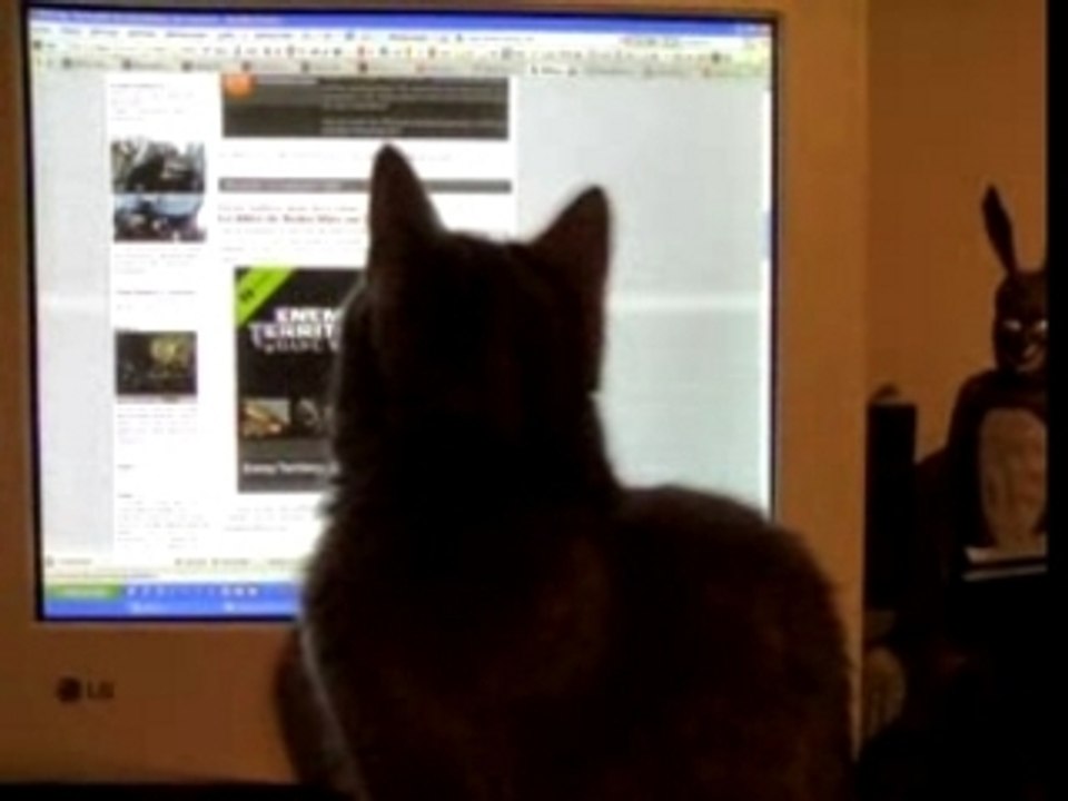 Ma chatte et ma souris