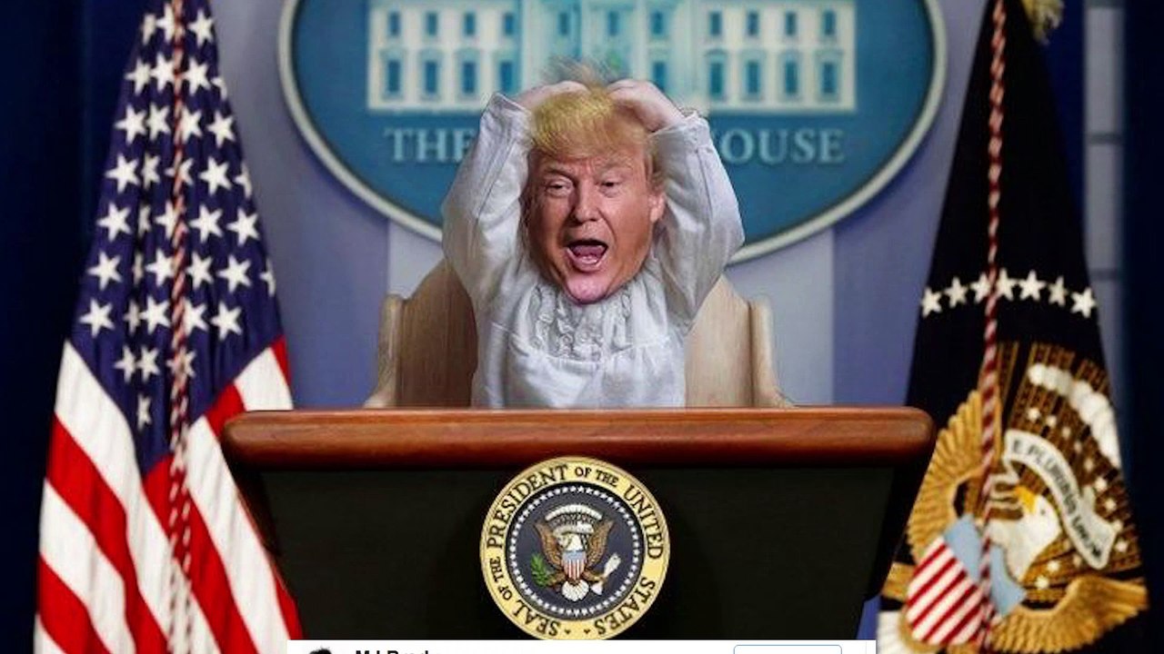 Tiny Trump Meme Makes The Net Great Again!