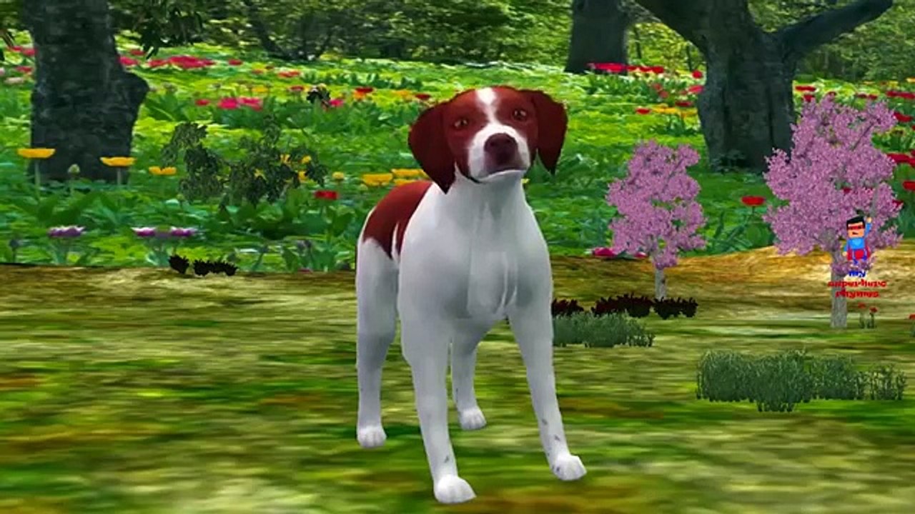 Dog Cartoons Singing Finger Family Children Nursery Rhymes | Dog Finger Family Rhymes