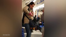 Naughty pigeon takes a ride on the London Underground