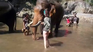 Elephlying in Thailand