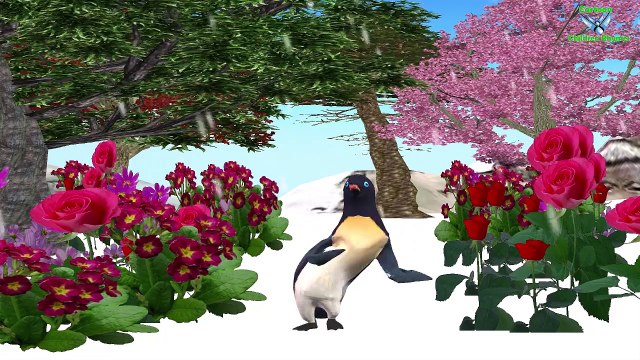 BIRDS Finger Family Nursery Rhymes | Penguin And Eagle Cartoons For Children