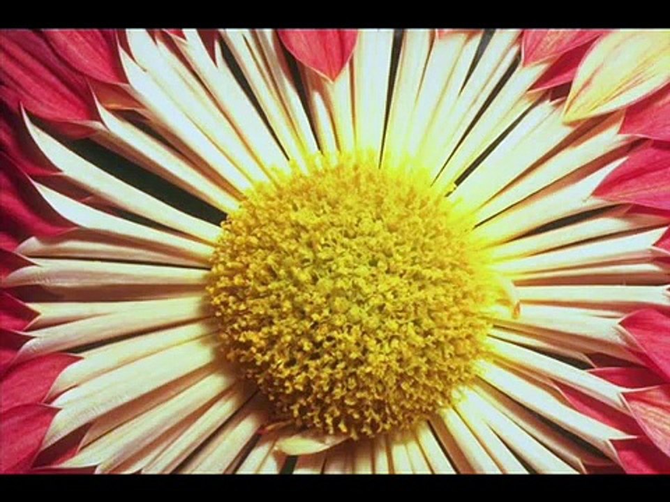 Bhala Hua Mori Gagri Phooti By Farid Ayaz