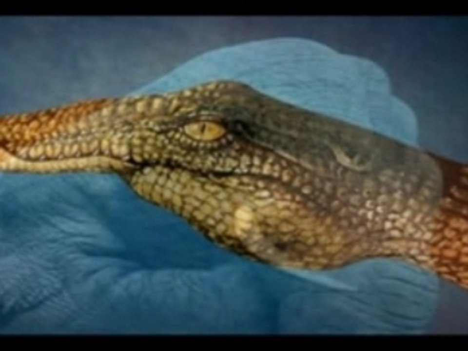 peintures sur les mains