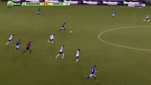 Baptiste Guillaume Goal HD - Strasbourg 4-2 Tours 21.02.2017