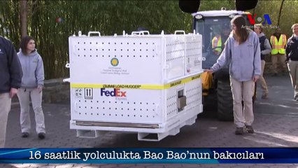 Sevimli Panda Washington'a Veda Etti