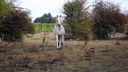 Rico et Hors-loi