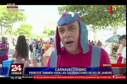 Perros con coloridos disfraces celebran su propio carnaval en Río de Janeiro
