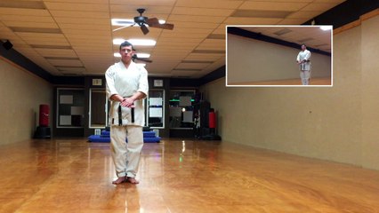 Goju Ryu Daily Practice -  Geki Sai Dai Ichi and Seyunchin