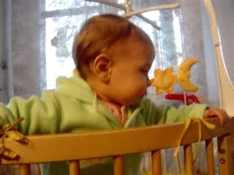 Jaya liebt es im Laufgitter zu sein