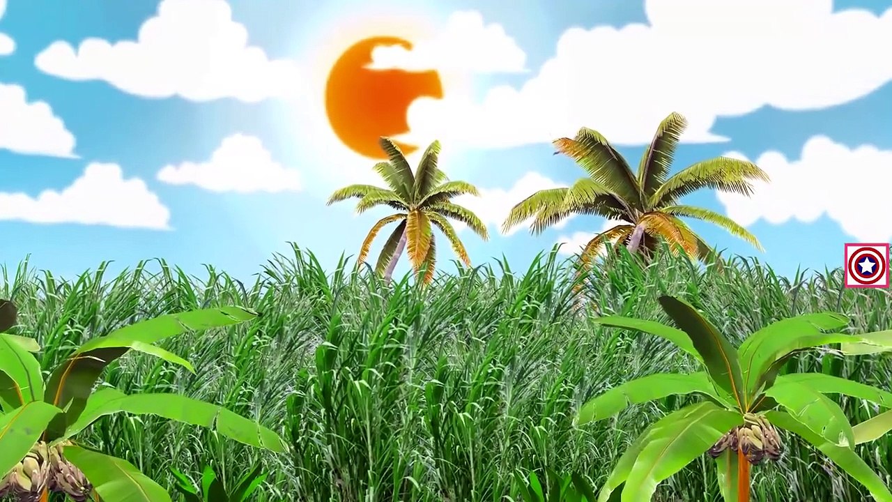 Colors Dinosaurs Vs Animals Finger Family Nursery Rhymes Dinosaurs Gorilla Lion Tiger Shar