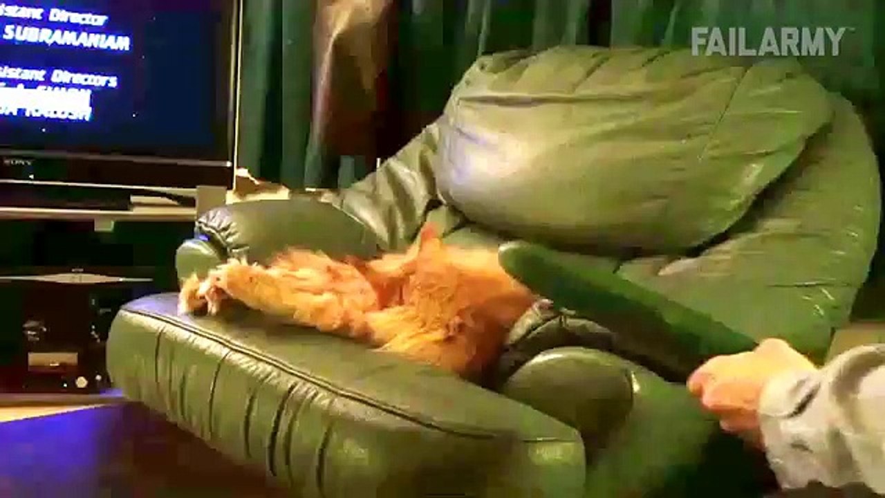 Funniest Animal Fails Compilation || FailArmy