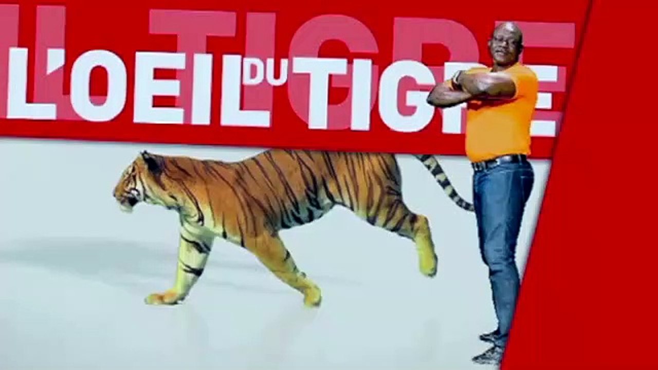 RUBRIQUE Résumé lutte sans frappe - L'oeil du tigre du 21 Fevrier 2017