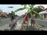 Jalan Pantura Rusak, Batang Pohon Pisang Jadi Rambu Bahaya - NET12