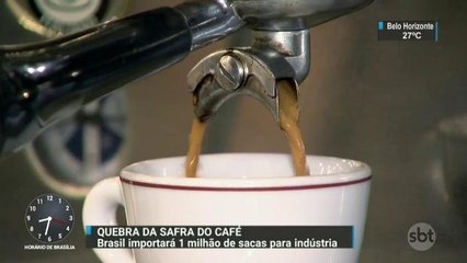 Brasil vai importar 1 milhão de sacas de café para compensar quebra da safra