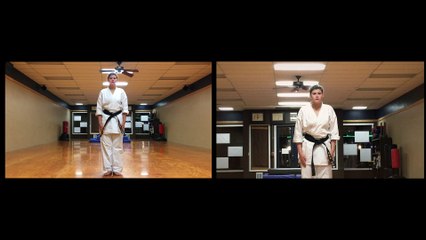 Goju Ryu Daily Practice - Geki Sai Dai Ichi and Saifa