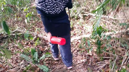 Mendaki bukit Nuluh Lapai - Kaki krem semasa turun bukit