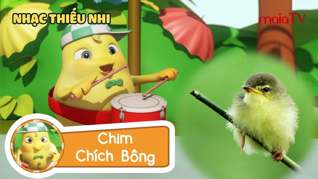 ✔ Ban Nhạc Gà Con | CHIM CHÍCH BÔNG - Nhạc thiếu nhi vui nhộn | Chicken Band | Siêu Chip