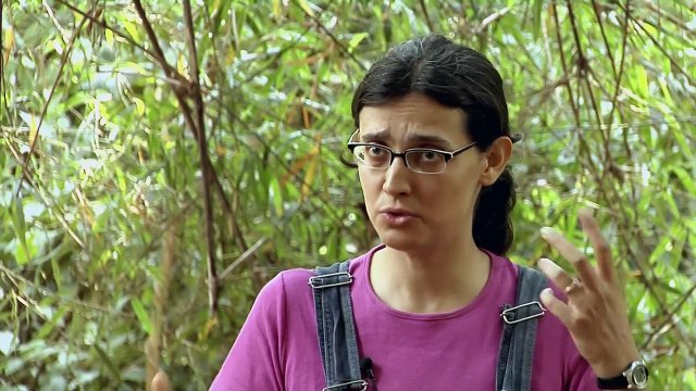 Ecovilas: (re)construção de ideais