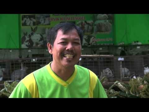 Dari Hobi, Peternak Kelinci Raup Omzet Ratusan Juta Rupiah per Bulan -NET5