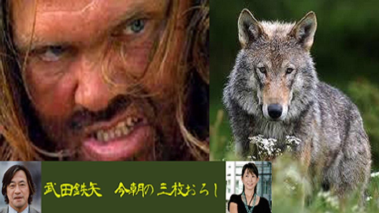 武田鉄矢・今朝の三枚おろし「狼の群れと暮らした男」2/4