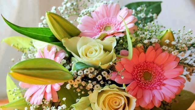 Честит Рожден Ден, приятелко любима!