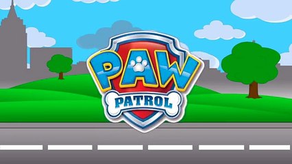 #PAWPATROL MARSHALL, SURPRISE EGGS, CHASE, ROCKY | SKATEBOARD SKATING HALF PIPE #Animation