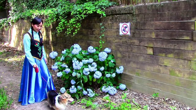 Snow Whites baby becomes Catbaby: Spiderman & Snow White vs Catwoman funny superhero vide